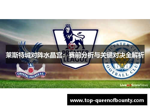 莱斯特城对阵水晶宫:赛前分析与关键对决全解析 莱斯特城对阵水晶宫:赛前分析与关键对决全解析