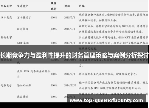 长期竞争力与盈利性提升的财务管理策略与案例分析探讨