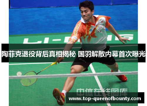 陶菲克退役背后真相揭秘 国羽解散内幕首次曝光