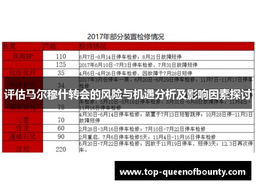 评估马尔穆什转会的风险与机遇分析及影响因素探讨