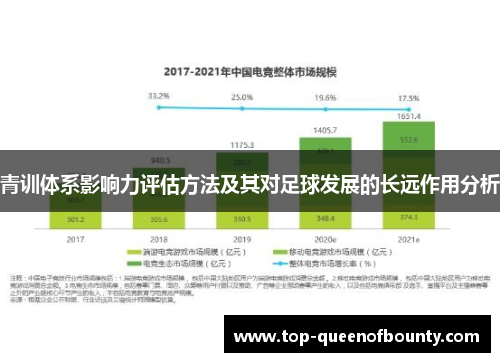青训体系影响力评估方法及其对足球发展的长远作用分析